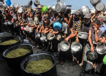 UNOCHA Sözcüsü Cherevko: Gazze'de ateşkes çatışmayı sona erdirdi ancak krizi değil