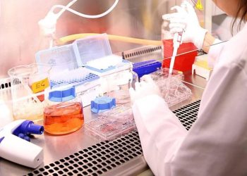 Bilim insanları, hücreleri genç kalmaları için kandıran besin moleküllerini keşfetti