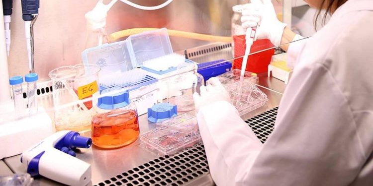 Bilim insanları, hücreleri genç kalmaları için kandıran besin moleküllerini keşfetti