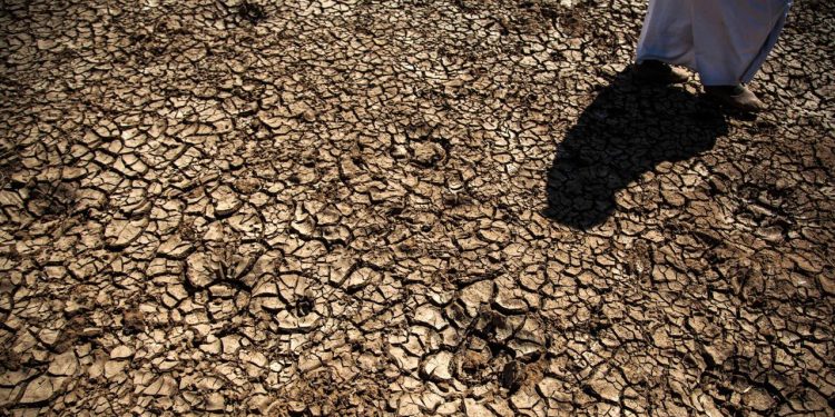 Fas Sulama Bakanı: Fas, üst üste sekizinci kuraklık yılıyla karşı karşıya