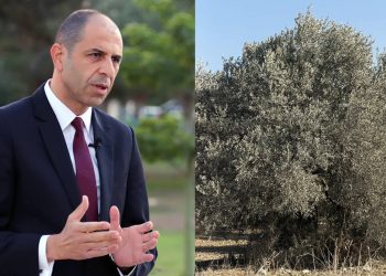 Özersay: Taş ocaklarının yarattığı yoğun toz köylüleri mağdur ediyor