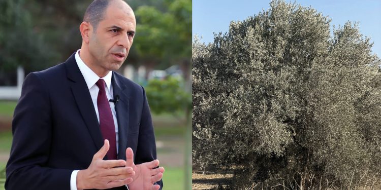 Özersay: Taş ocaklarının yarattığı yoğun toz köylüleri mağdur ediyor