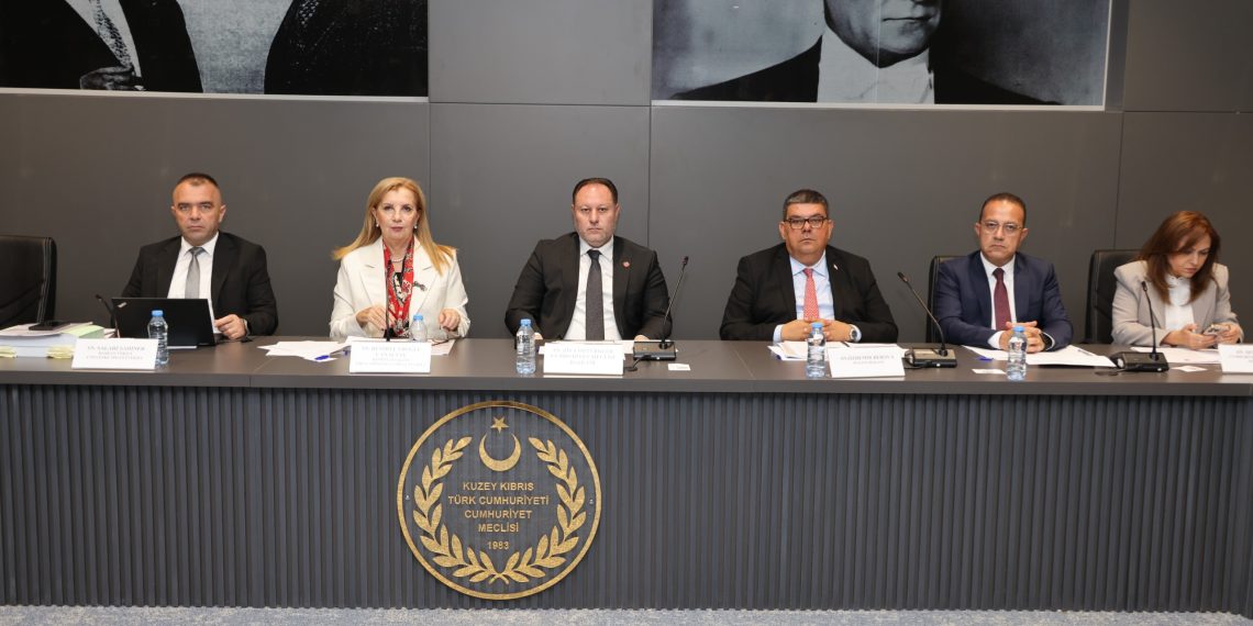 2026 bütçesinin Komite’de görüşülmesine başlandı