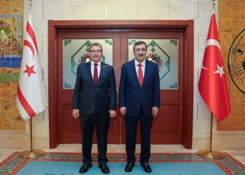 Üstel: Kıbrıs Türkü’nün yanında ana vatanı vardır