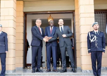 Gözler ikili görüşmede: Tufan Erhürman ile Nikos Hristodulidis yarın bir araya gelecek