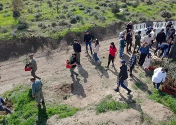 İnşaat mühendislerinden İMO Anı Ormanı’na 400 yeni fidan