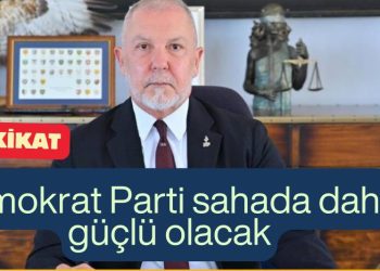 Demokrat Parti Sahaya İniyor