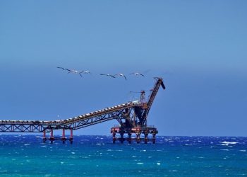 Lefke Çevre ve Ekoloji Derneği: Çevre sorunları ertelenemez bir noktaya ulaştı