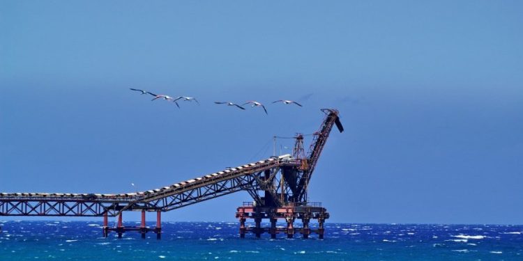 Lefke Çevre ve Ekoloji Derneği: Çevre sorunları ertelenemez bir noktaya ulaştı