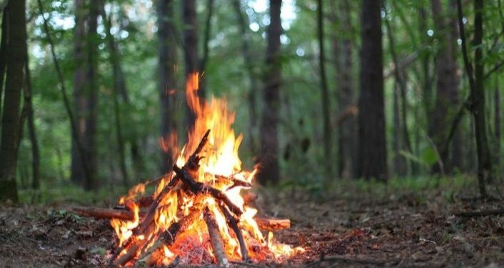 Ormanlık alanlarda ateş yakmak 31 Ekim’e kadar yasaklandı
