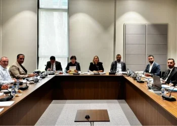 Hukuk, Siyasi İşler, Dışilişkiler ve Savunma Komitesi toplandı