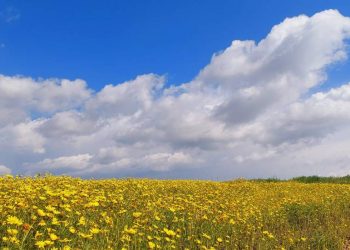 Hava sıcaklığı yükselecek, Pazar’a kadar yağmur yok