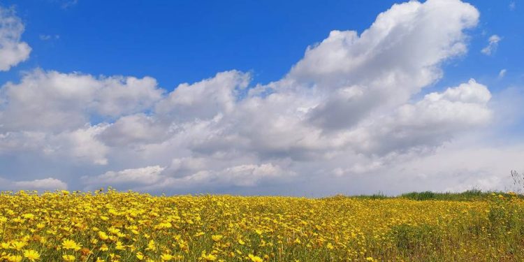 Hava sıcaklığı yükselecek, Pazar’a kadar yağmur yok
