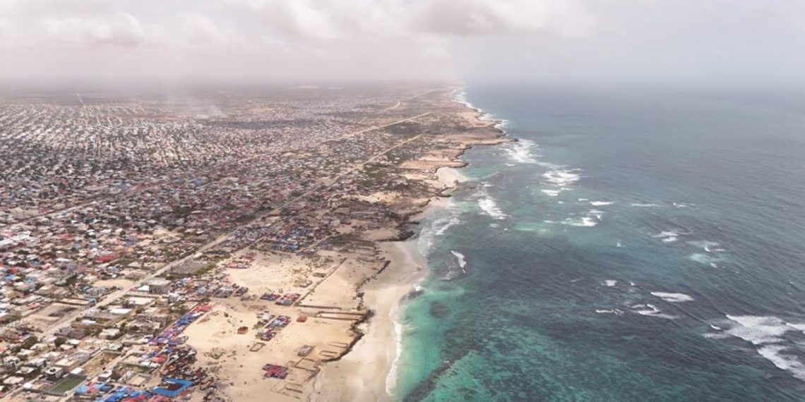 Afrika'nın mavi kaynakları üzerinde kaçak avcılık ve yabancı filolar baskısı artıyor