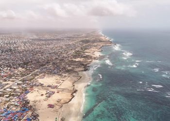 Afrika'nın mavi kaynakları üzerinde kaçak avcılık ve yabancı filolar baskısı artıyor