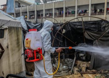 BM'den Gazze'de haşerelerin ve cilt enfeksiyonlarının katlanarak arttığı uyarısı