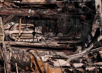 ABD'nin Georgia eyaletinde orman yangınlarında 120'den fazla ev kül oldu