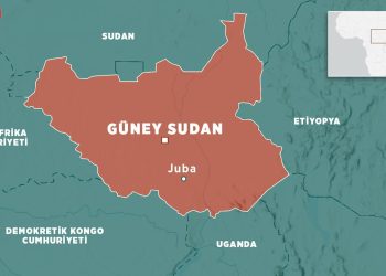 Güney Sudan'da yolcu uçağının düşmesi sonucu 14 kişi hayatını kaybetti