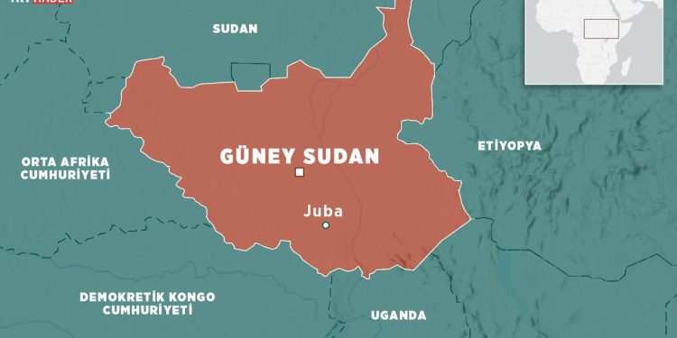 Güney Sudan'da yolcu uçağının düşmesi sonucu 14 kişi hayatını kaybetti