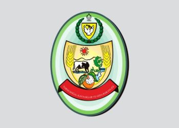 DÜÇ’ten kasaplık hayvan satışı duyurusu