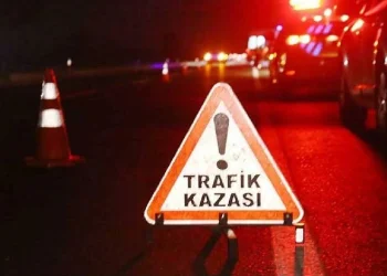 Alayköy’de alkollü sürücü kaza yaptı, yolcu ortalığı karıştırdı