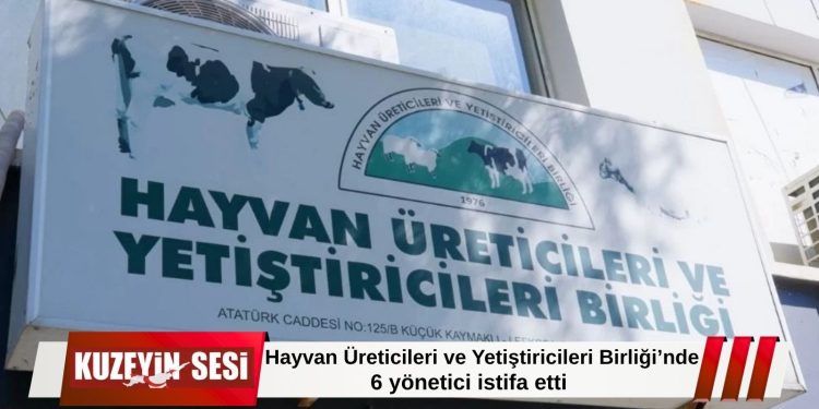 Hayvan Üreticileri Birliği’nde Kriz: “Tarafsızlık Kalmadı” Diyerek İstifa Ettiler!