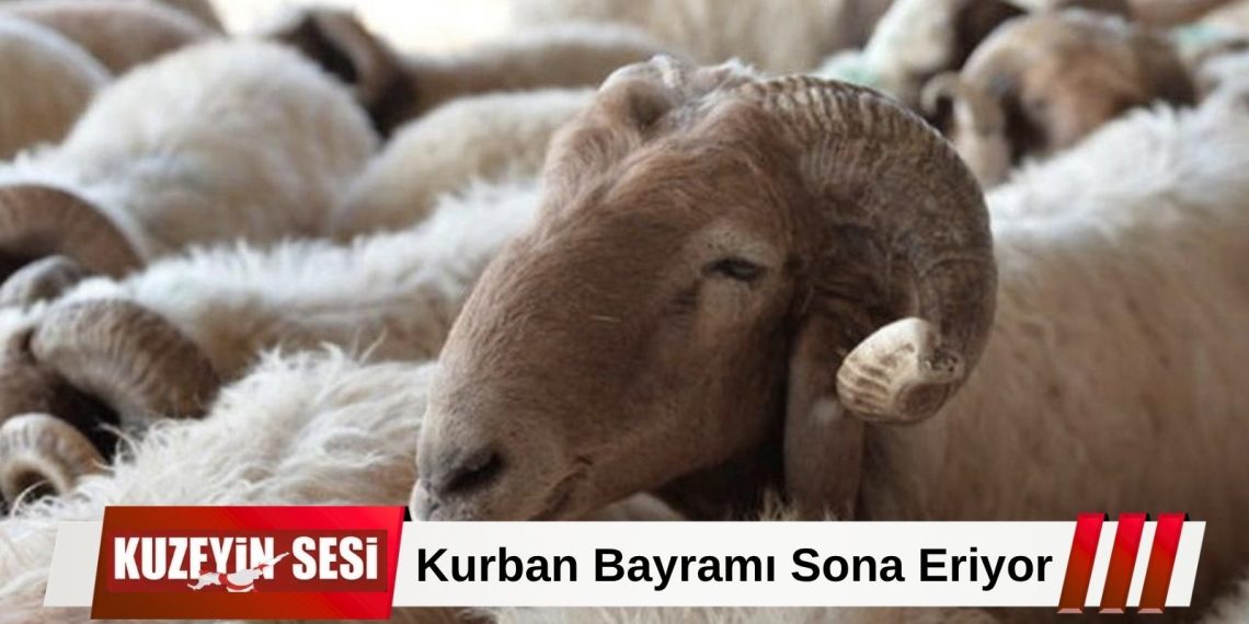 Kurban Bayramı Bugün Tamamlanıyor: Tatilin Ardından Normal Hayata Dönüş Başlıyor