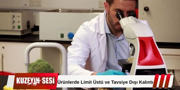 Sultani Üzüm ve Bazı Biberlerde Uygunsuzluk Tespit Edildi, Ürünler İmha Edildi!