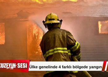Ülke genelinde 4 farklı bölgede yangın!