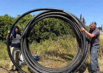 Narenciye üretiminde su tasarrufu ve verim artışı için proje başlatıldı