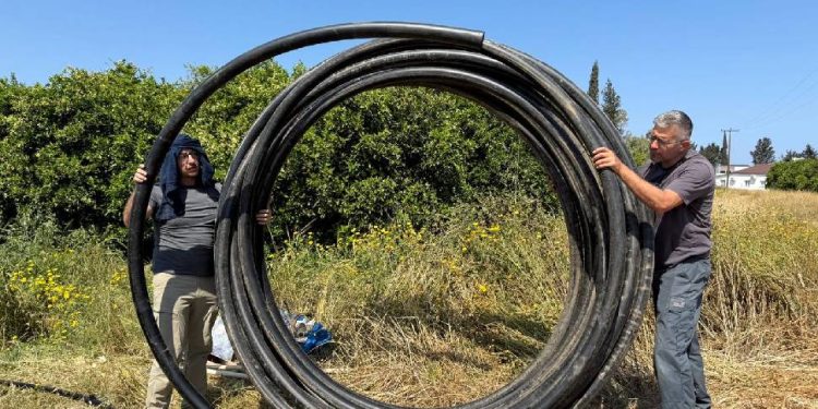 Narenciye üretiminde su tasarrufu ve verim artışı için proje başlatıldı