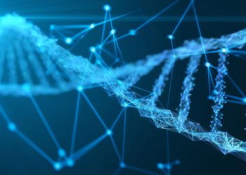 180 yıldır kayıp olan denizcilerin kimlikleri DNA ile belirlendi