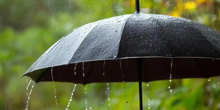 Bugünden itibaren Salı gününe kadar hava yağışlı