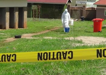 DSÖ alarm verdi: Ebola salgını küresel halk sağlığı acil durumu ilan edildi