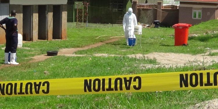 DSÖ alarm verdi: Ebola salgını küresel halk sağlığı acil durumu ilan edildi