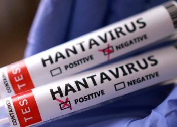 Yolcu gemisi MV Hondius'ta 5 hantavirüs vakası doğrulandı