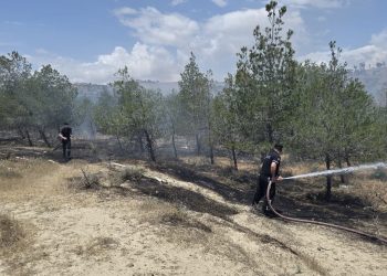 Haspolat – Güngör ana yolunun batısındaki ormanlık alanda yangın.. Soğutma sürüyor