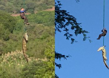 Güney Afrika'da dev timsahın midesinden çıkan terliklerin kayıp vakalarıyla bağı araştırılıyor
