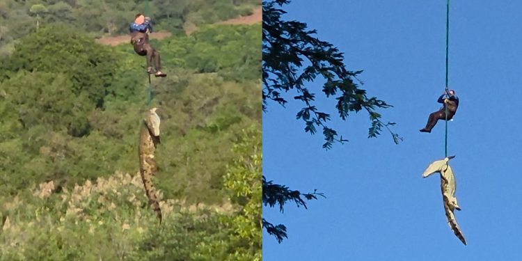 Güney Afrika'da dev timsahın midesinden çıkan terliklerin kayıp vakalarıyla bağı araştırılıyor