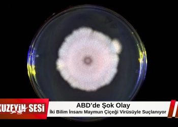 ABD’de Şok Olay: İki Bilim İnsanı Maymun Çiçeği Virüsüyle Suçlanıyor!