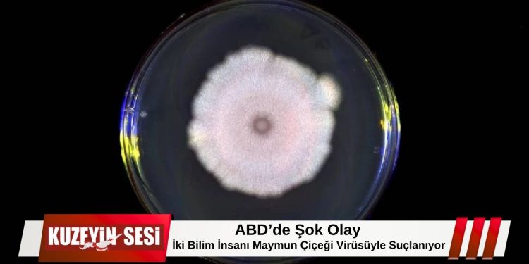 ABD’de Şok Olay: İki Bilim İnsanı Maymun Çiçeği Virüsüyle Suçlanıyor!