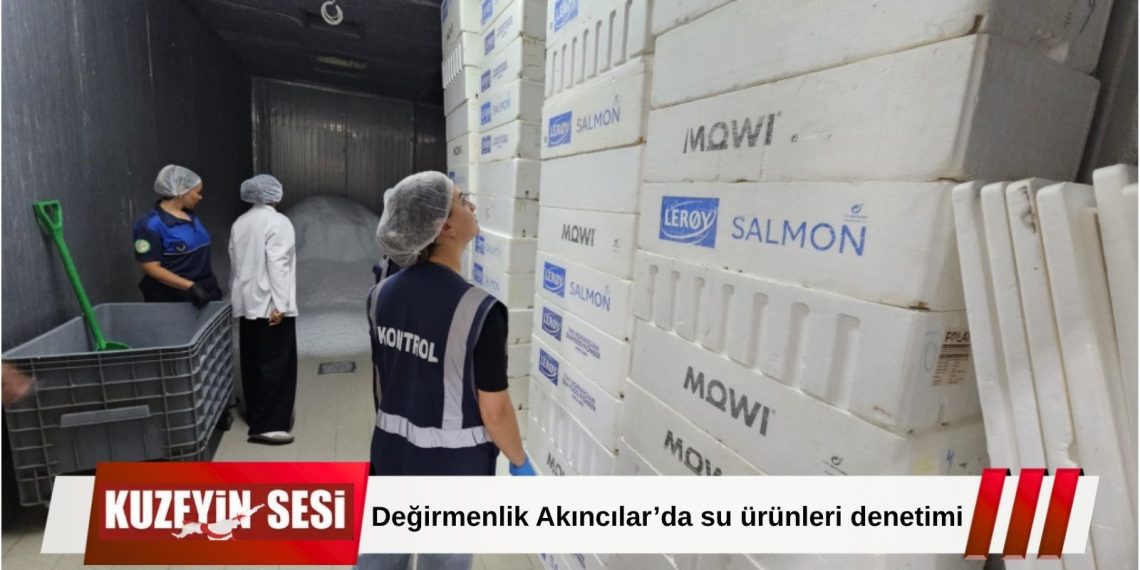 Değirmenlik Akıncılar’da su ürünleri satışı yapan işletmelere denetim!