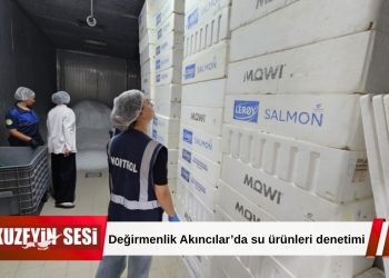 Değirmenlik Akıncılar’da su ürünleri satışı yapan işletmelere denetim!