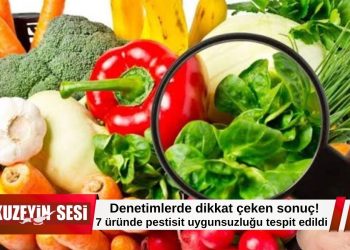 Gıda denetimlerinde alarm: 7 üründe pestisit uygunsuzluğu tespit edildi!