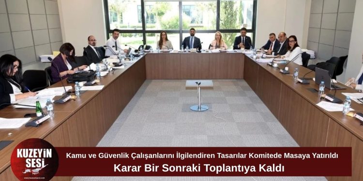 Güvenlik ve kamu çalışanlarını ilgilendiren yasa tasarıları komitede görüşüldü