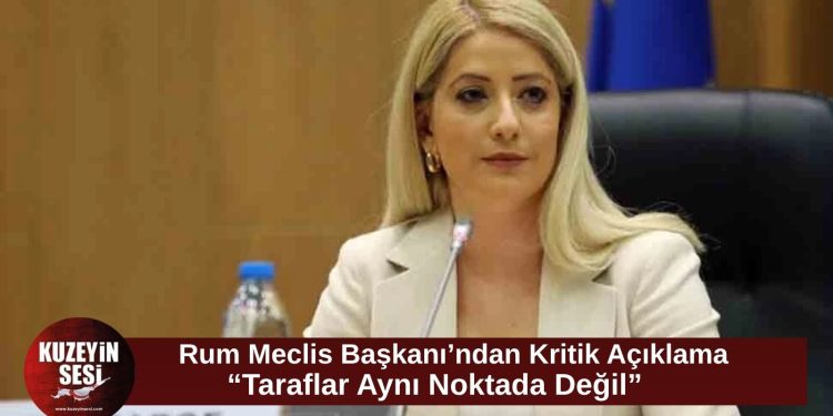 Dimitriu: Kıbrıs konusunda taraflar arasında görüş birliği bulunmuyor