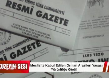 Alçak Orman Arazileri Yasası Resmi Gazete’de yayımlandı!