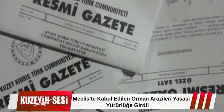 Alçak Orman Arazileri Yasası Resmi Gazete’de yayımlandı!