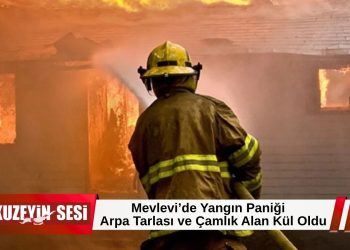 Mevlevi’de biçerdöver kaynaklı yangın: Arpa ekili alan ve çamlık zarar gördü!