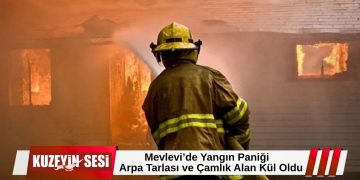Mevlevi’de biçerdöver kaynaklı yangın: Arpa ekili alan ve çamlık zarar gördü!
